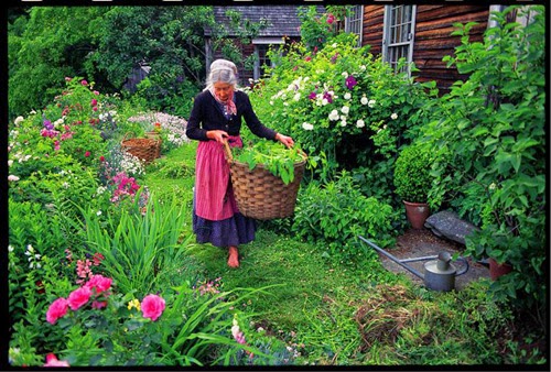 My Favorite American Gardener Tasha Tudor The Wildlife Gardener